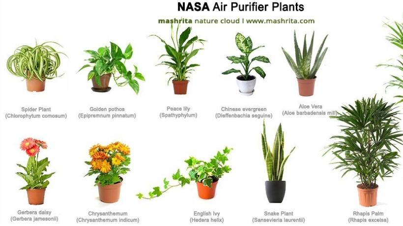 air scrubbers
